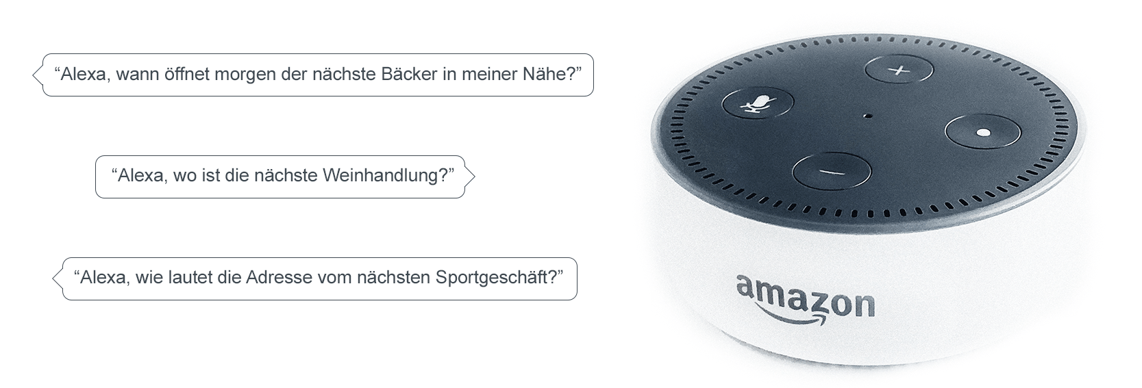 Amazon Alexa Fragen